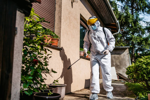 Best Bed Bug Extermination  in Beaver Creek, TX