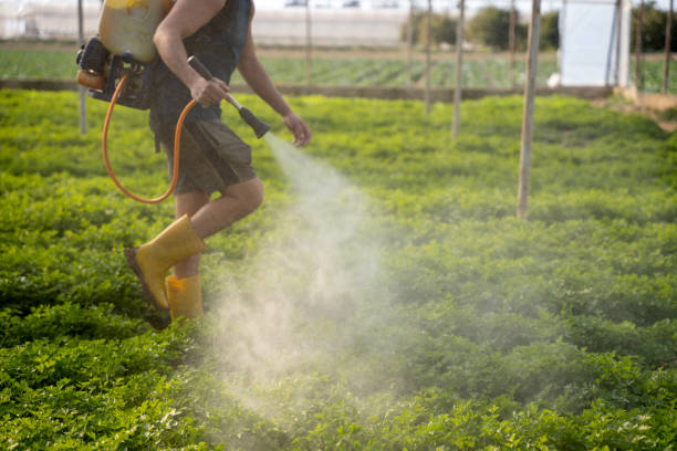 Best Best Pest Control Near Me  in Beaver Creek, TX