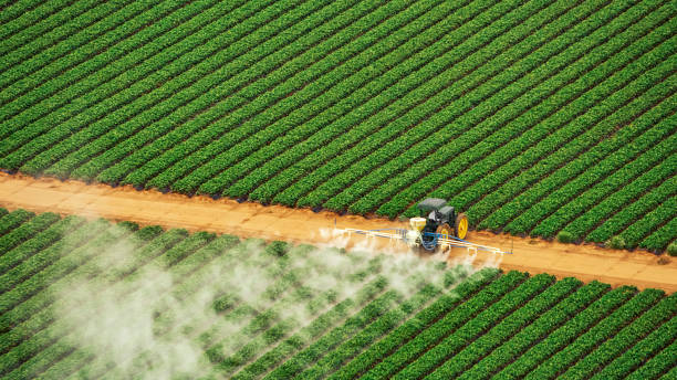 Best Pest Inspection Near Me  in Beaver Creek, TX
