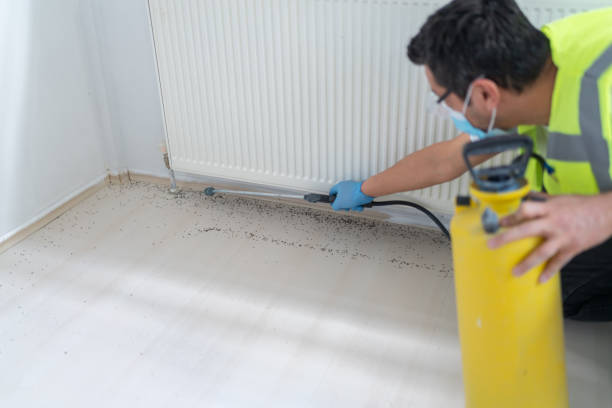 Best Affordable Pest Control Services  in Beaver Creek, TX