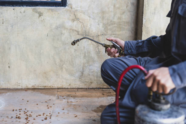 Best Emergency Pest Control  in Beaver Creek, TX